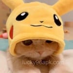 Noor Fatima Arslan Butt